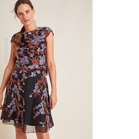 Anthropologie Dresses & Skirts - NEW Alessia Embroidered Chiffon Mini Dress